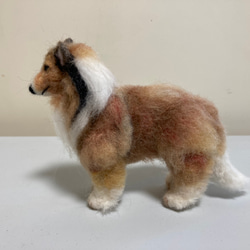 羊毛フェルト　犬　ラフコリー 2枚目の画像