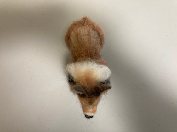 羊毛フェルト　犬　ラフコリー 9枚目の画像