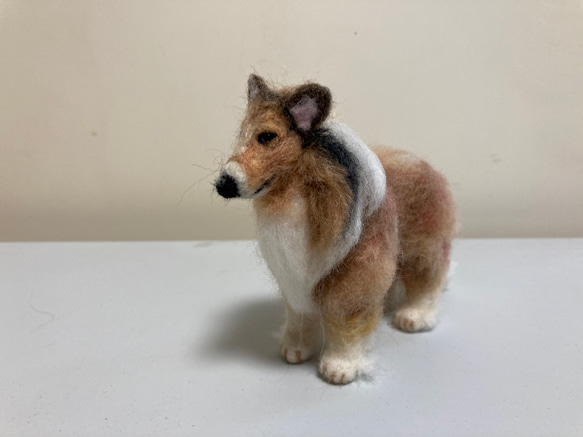 コリー犬 羊毛フェルト フィギュア 約15cm 羊毛フェルト犬