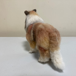 羊毛フェルト　犬　ラフコリー 3枚目の画像