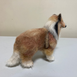 羊毛フェルト　犬　ラフコリー 5枚目の画像