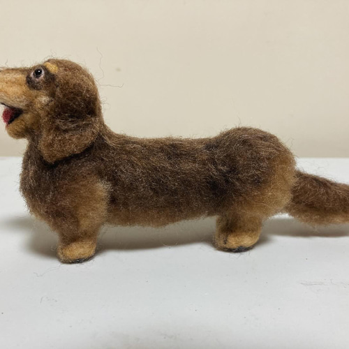 羊毛フェルト 犬 ダックスフンド 羊毛フェルト kanken 通販