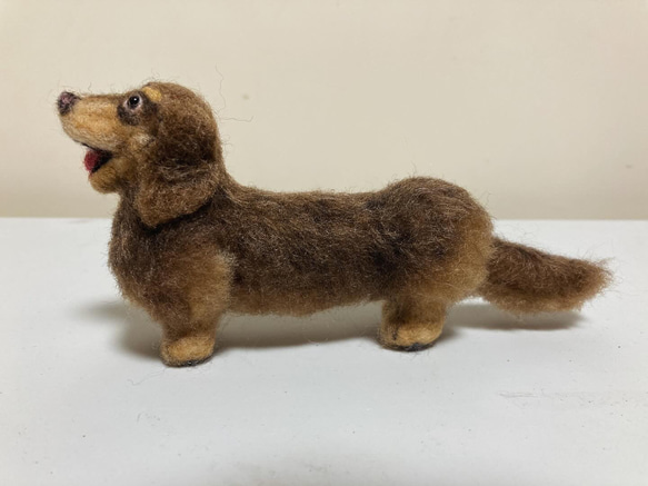 羊毛フェルト 犬 ダックスフンド 羊毛フェルト kanken 通販