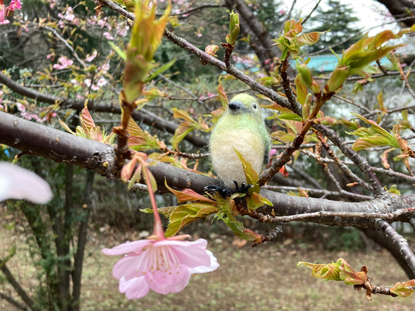 羊毛フェルト　鳥　メジロ 10枚目の画像