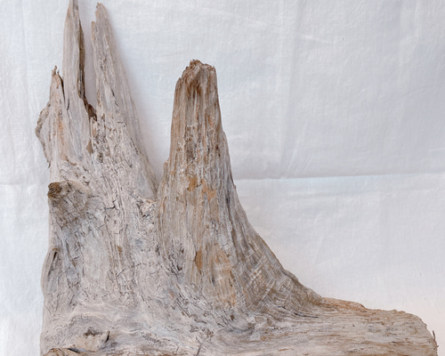 流木 インテリア約 170cm 木製台座付　driftwood interior 流木 インテリア約 170cm 木製台座付 driftwood interior 流木