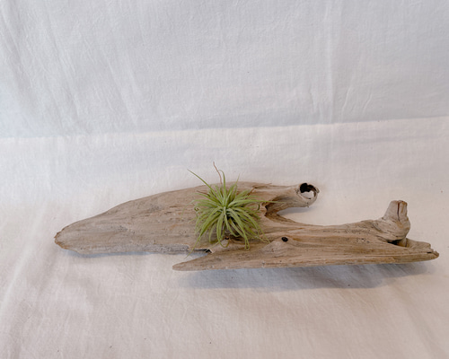 流木 一点物 オブジェ インテリア 和 飾物 置物 美術 流木 一点物 オブジェ インテリア 和 飾物 置物 美術