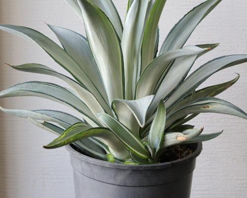 14cd806afcf2754610b6d42218d5c1  