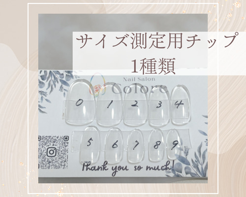 サイズ測定用チップ1種類 ネイルチップ（つけ爪） nail-colore