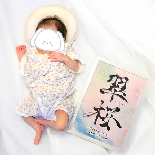 名前の絵　絵のオーダーメイド(^^) お名前に合わせてデザインする オーダーメイド命名書 兄弟 姉妹 双子