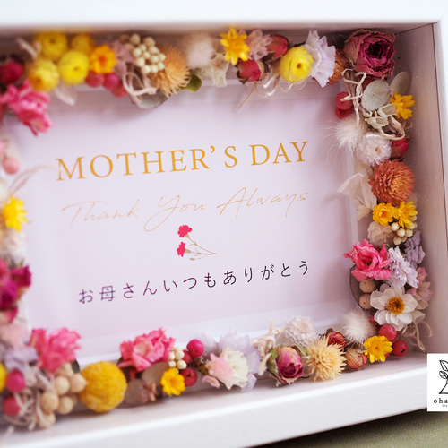 選べる6種のメッセージカード付】感謝を届けるメッセージ付♪ドライ