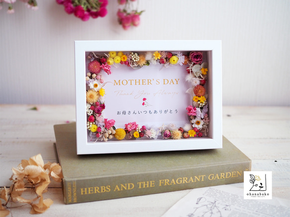 選べる6種のメッセージカード付】感謝を届けるメッセージ付♪ドライ