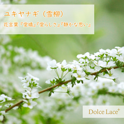 * spiraea Lace * 手編みタティングレース BlackLace×black Lサイズ 8枚目の画像