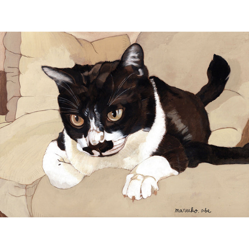 「ハッチ2」猫イラスト（原画） 猫イラスト「ハッチ2」（原画） イラスト 安部円子 通販