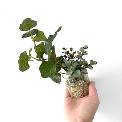 ■本物そっくり枯れない観葉植物■フェイクグリーン　葉　ガラス瓶　インテリア　ディスプレイ　グリーン　造花　ギフト 3枚目の画像