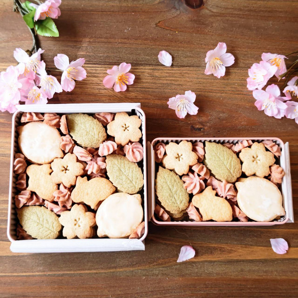 【完売御礼】桜クッキー缶～春の訪れ2024～  小 4枚目の画像