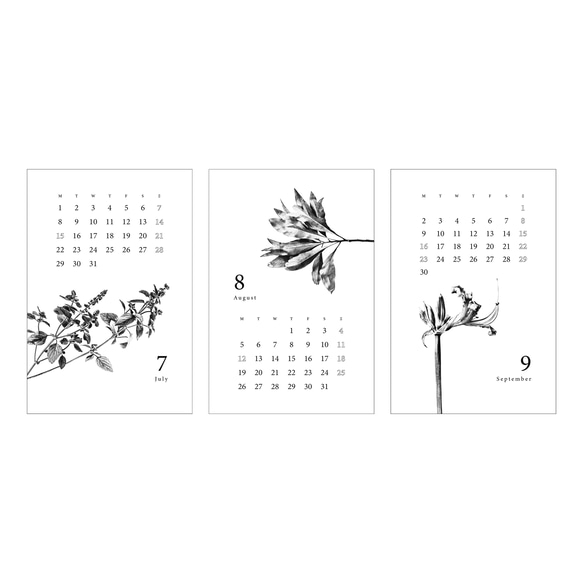〈4月〜12月〉2024年カレンダー ボタニカル【ハガキ・ケースなし】 7枚目の画像