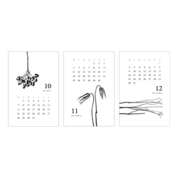 〈4月〜12月〉2024年カレンダー ボタニカル【ハガキ・ケースなし】 8枚目の画像