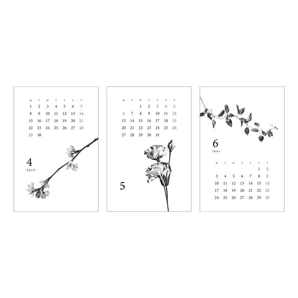 〈4月〜12月〉2024年カレンダー ボタニカル【ハガキ・ケースなし】 6枚目の画像