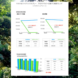 受賞商品 Creema限定  春の福袋【アンモニア消臭99％＆天然アロマ】炭消臭剤 アロマスプレーセット 15枚目の画像