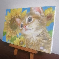 子猫とひまわりの絵　油絵原画「Recollections of summer」 3枚目の画像