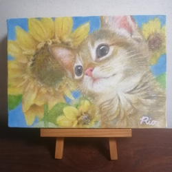 子猫とひまわりの絵　油絵原画「Recollections of summer」 1枚目の画像