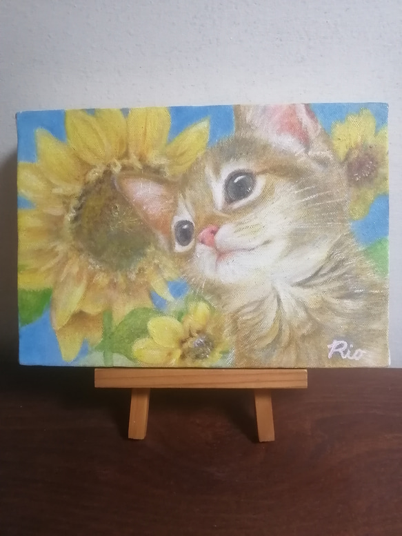 子猫とひまわりの絵　油絵原画「Recollections of summer」 1枚目の画像