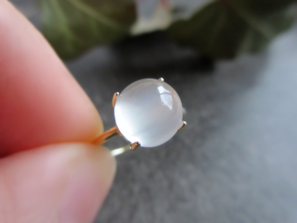 【六月生日石】8毫米美麗「月光石」戒指 第1張的照片