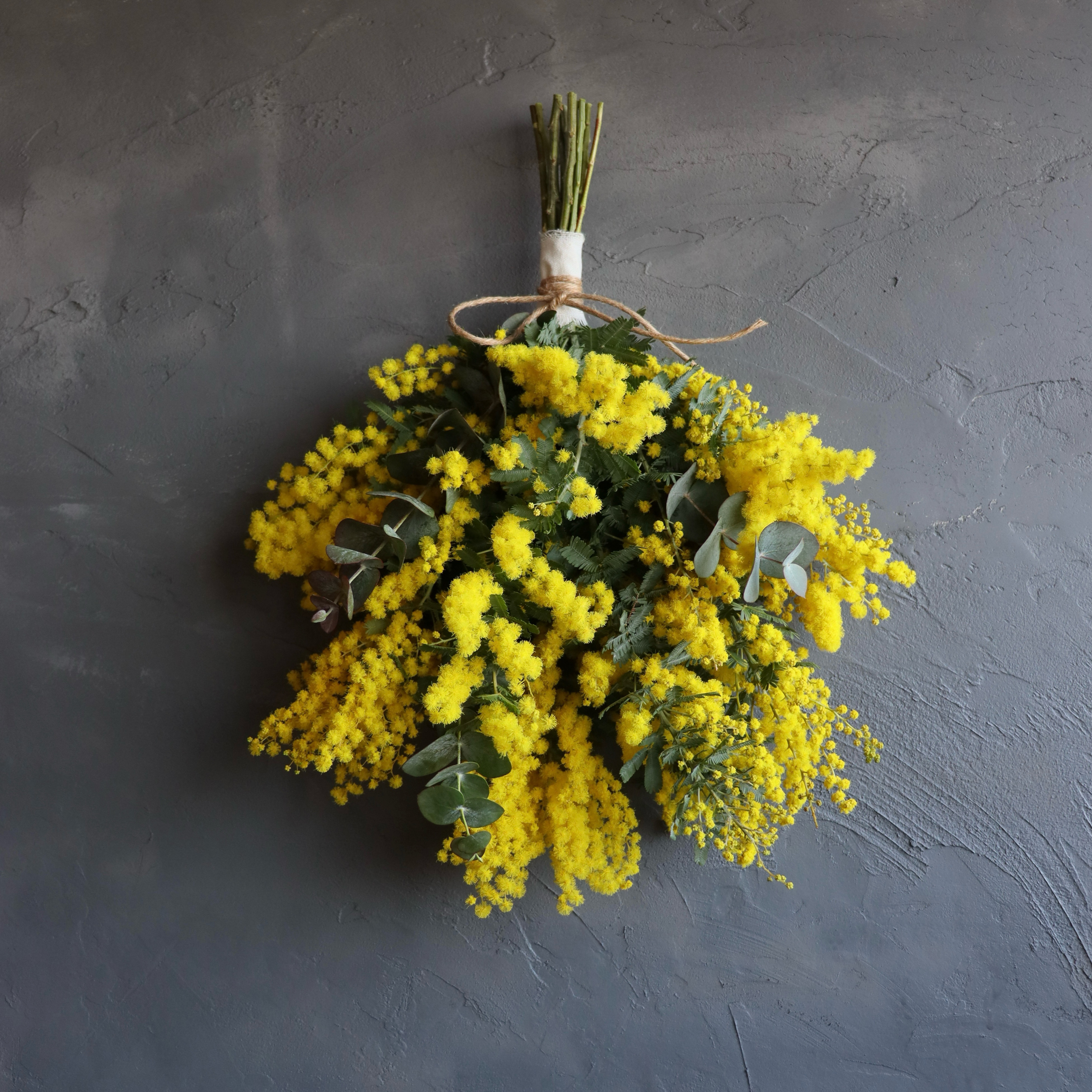 〈ドライになる〉ミモザとユーカリのスワッグ / ナチュラルスワッグ ドライフラワースワッグ 壁飾り 壁掛け ひな祭り