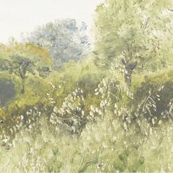 自然風景アートポスター | 穏やかな森の風景 | インテリア | グリーン&ホワイト | アンティークポスター 15枚目の画像