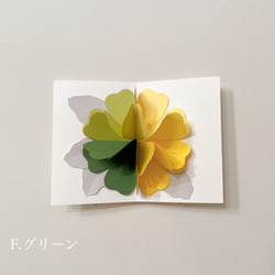 ︎*。お花のポップアップカード 。* ✧︎ メッセージカード　お祝い　記念日 7枚目の画像