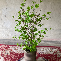 光触媒　人工観葉植物　ウォールグリーン　フェイクグリーン　花器付ドウダン@gja 3枚目の画像