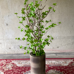 光触媒　人工観葉植物　ウォールグリーン　フェイクグリーン　花器付ドウダン@gja 4枚目の画像