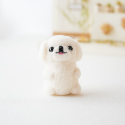 3a40f8847ca9d6c85d2022d66e4e88