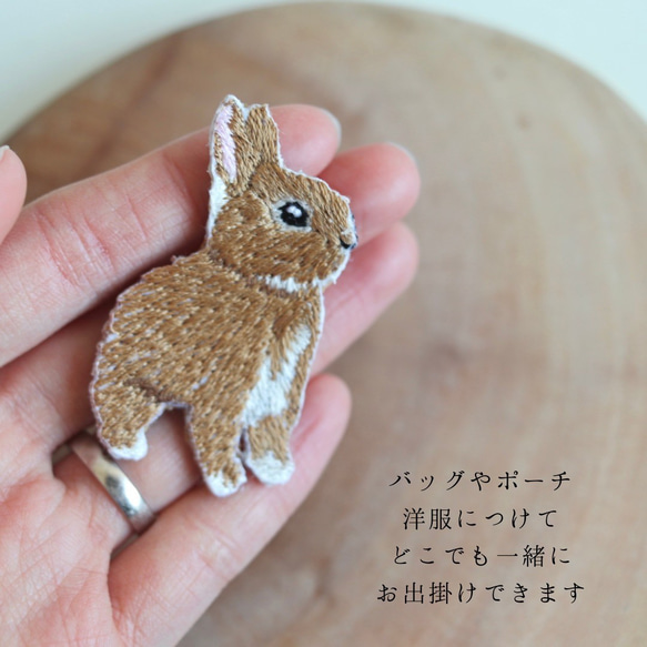 選べるネザーランドドワーフの刺繍ブローチ 3枚目の画像