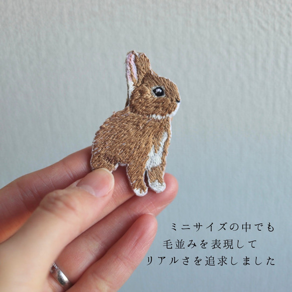 選べるネザーランドドワーフの刺繍ブローチ 2枚目の画像