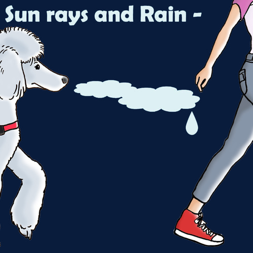 オーダーメイド スタンダードプードル/ジャケット/ウィンドブレーカー