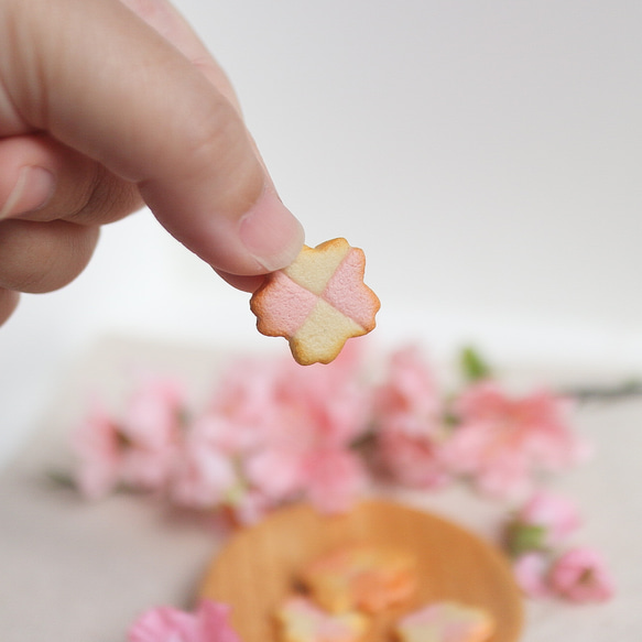 桜チェック柄ビスケット市松型様の桜クッキー イヤリング シミュレーションフード 春 ピンク系 14枚目の画像
