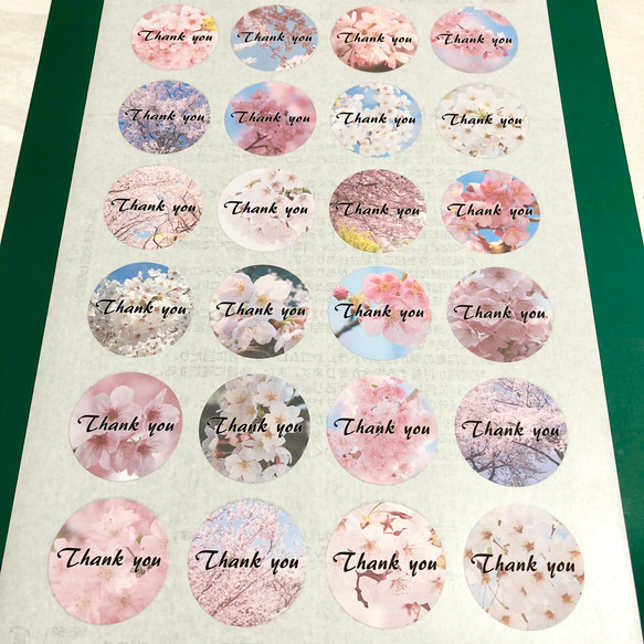 サンキューシール 桜(大)『Thank you』 3枚目の画像