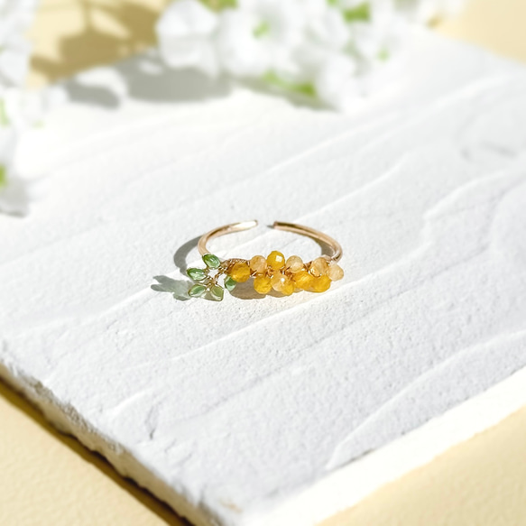 【alpaca to hana】本物の植物アクセサリー　ミモザのイヤリングと指輪 楽天市場】ミモザ（ジュエリー・アクセサリー）の通販 【alpaca to