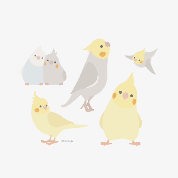 Tシャツ（Simple / オカメインコ） 3枚目の画像