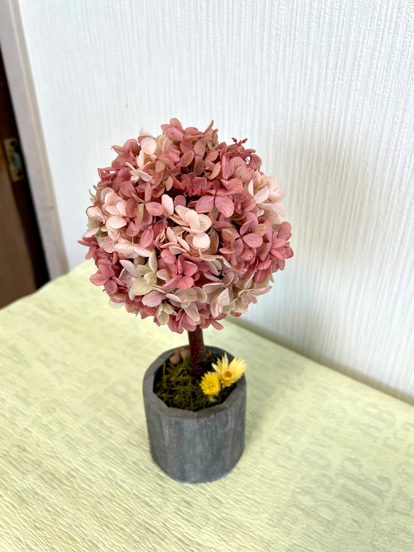 桜色のトピアリー 5枚目の画像