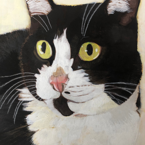 「ウメ12」猫イラスト（原画） ウメ12」猫イラスト（原画）
