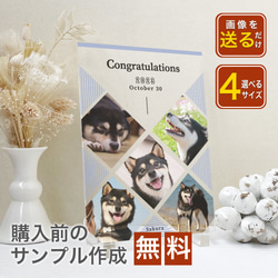 【 アクリルフォトパネル A67 】ペット 犬 dog わんちゃん いぬ 猫  ねこcat ねこちゃん ドッグインテリア 1枚目の画像