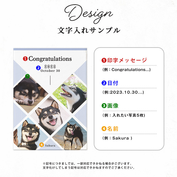 【 アクリルフォトパネル A67 】ペット 犬 dog わんちゃん いぬ 猫  ねこcat ねこちゃん ドッグインテリア 4枚目の画像