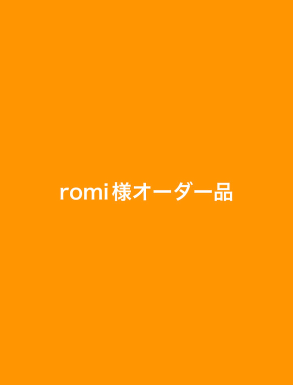 romi様オーダー品　ミニチュアフード 1枚目の画像