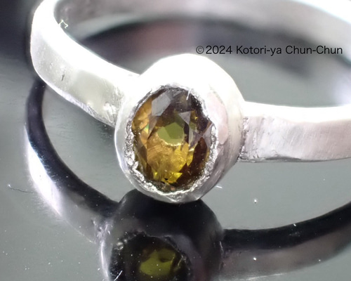 自然界最強の輝石の一角】アンドラダイトガーネット・シルバーリング