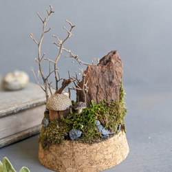 キノコの森と小さな家  ドライフラワー/ガラスドーム/ミニチュア/ジオラマ 4枚目の画像