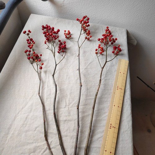 節分お飾り【野バラ】ドライフラワー 節分お飾り【野バラ】ドライフラワー