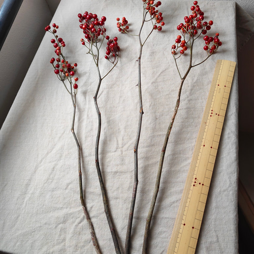 野バラの赤い実のドライボタニカル ドライフラワー ajisai 通販