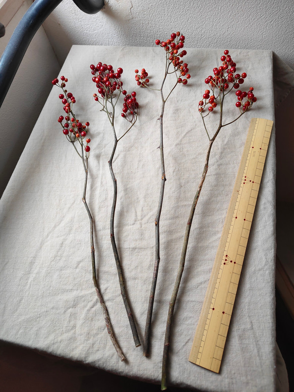 野バラの枝赤い実付きドライボタニカル 7枚目の画像